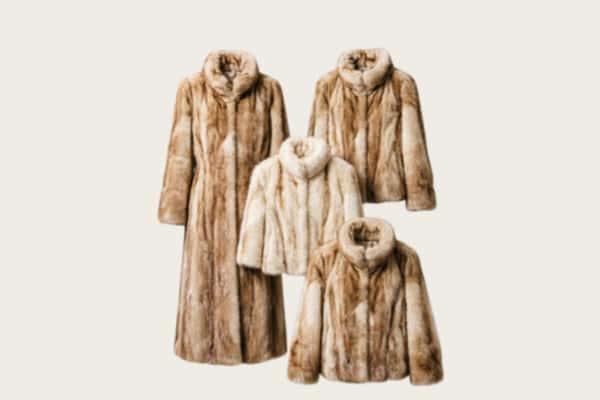 东区回收皮草衣服